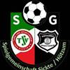 SG RSV/​Sickte/​Htzum