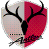 Titel: Kashima Antlers - Beschreibung: Kashima Antlers