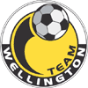 Team Wellington