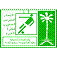 Titel: Saudi-Arabien, Nationalteam Herren