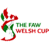 Titel: Welsh Cup