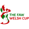 Titel: Welsh Cup