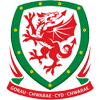 Wales, Nationalteam U16, Men
